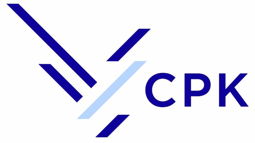 Logo Centralny Port Komunikacyjny