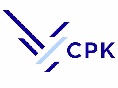 Logo Centralny Port Komunikacyjny 