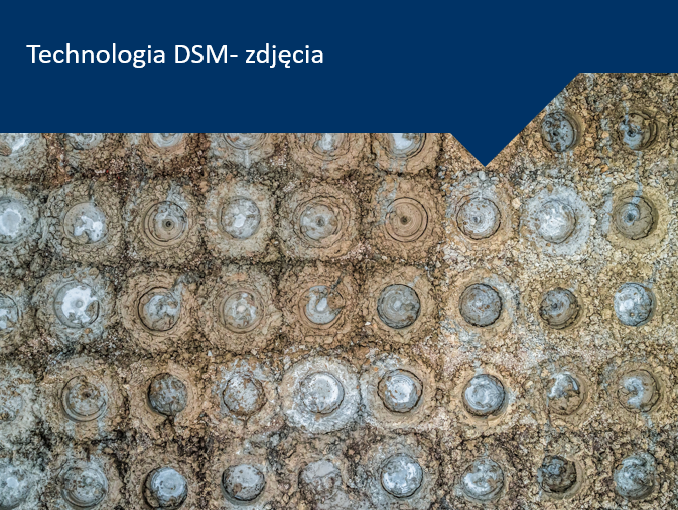 DSM Zdjęcia Keller Polska